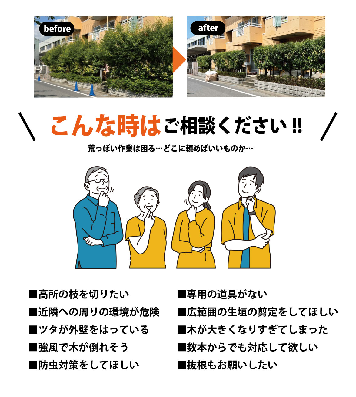 街路樹の伐採